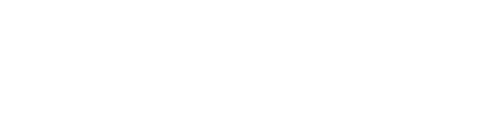Orizon Interactive